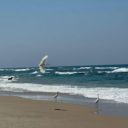 בת ים Go To Apartments In Leonardo מראה חיצוני תמונה